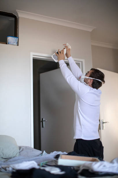 Mold Remediation for Rental Properties in Cold Spring, NY