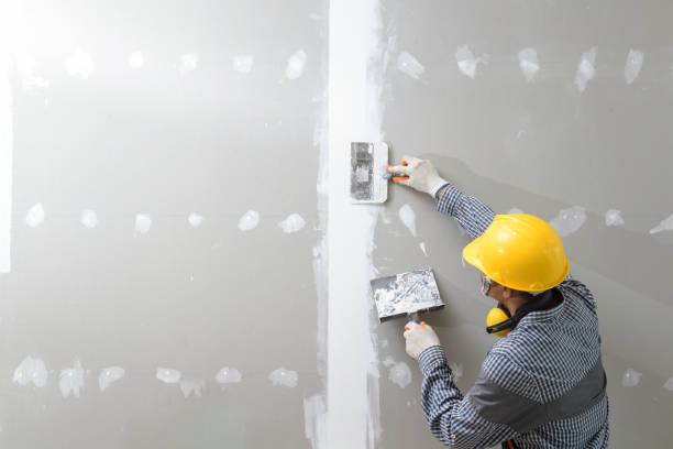 Best Water Damage & Mold Remediation  in Cold Spring, NY