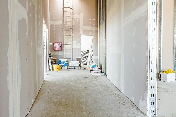 Best Mold Remediation for Rental Properties  in Cold Spring, NY